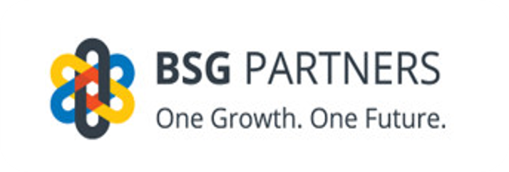 BSG 파트너스